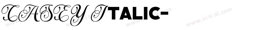 CASEY Italic字体转换